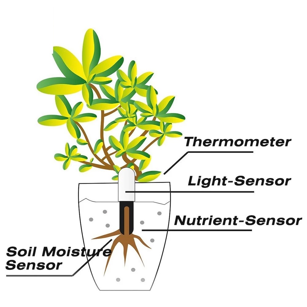 HHCC-Monitor de flores para el - Smart Garden Monitor reseña y precio